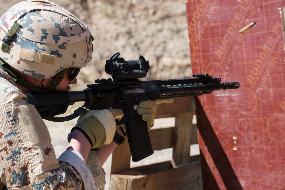 Coalition Forces Conduct Estonian and German-Led Range Operations