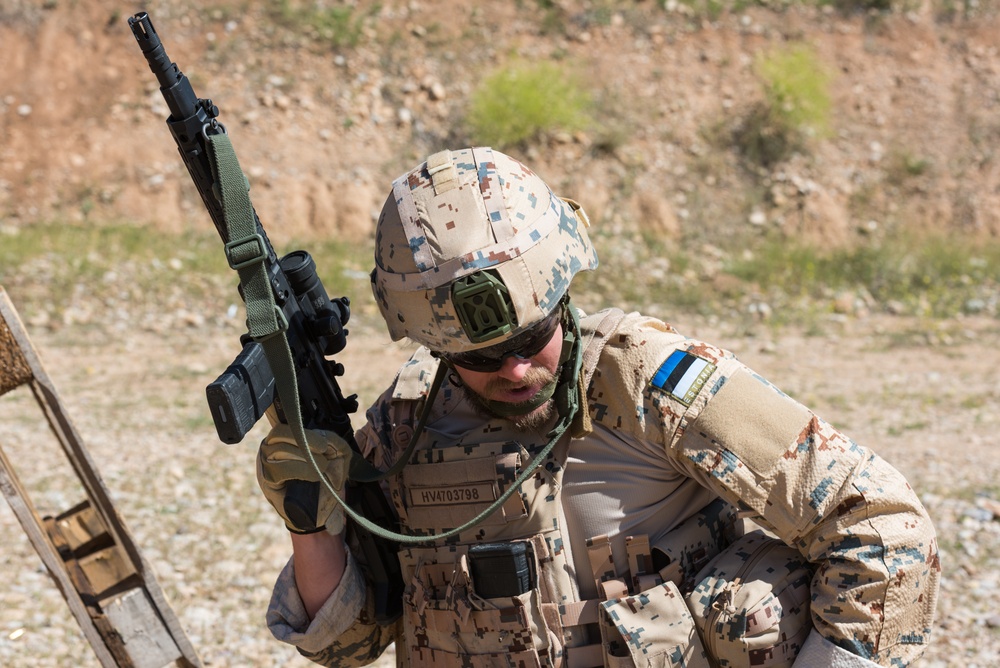 Coalition Forces Conduct Estonian and German-Led Range Operations