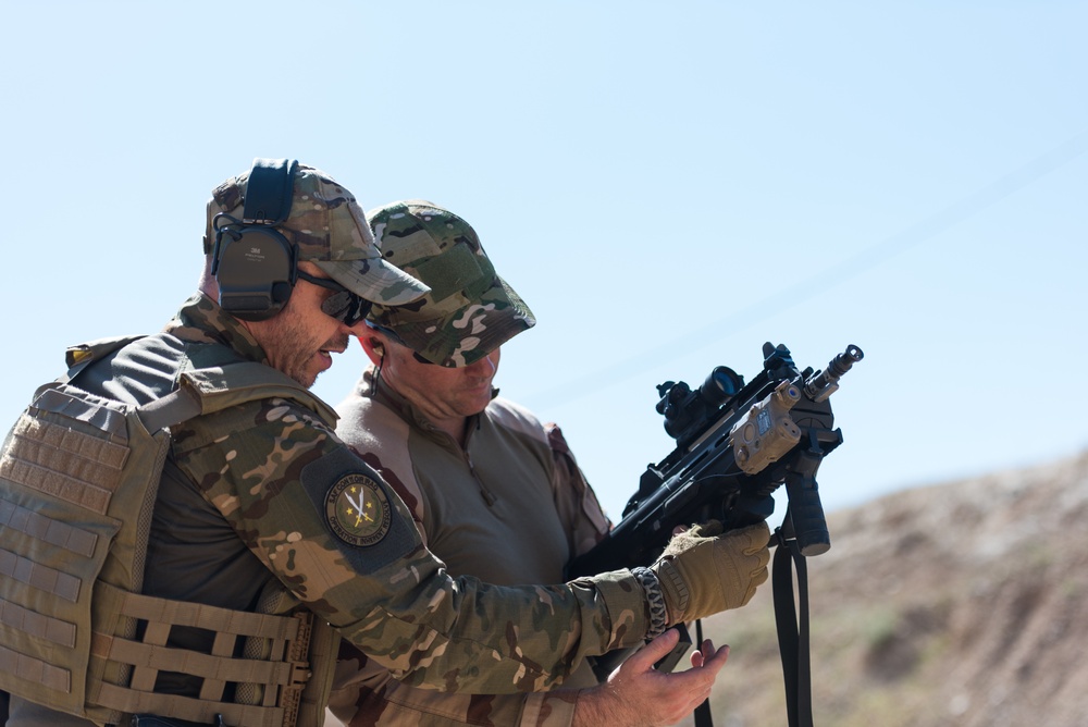 Coalition Forces Conduct Estonian and German-Led Range Operations