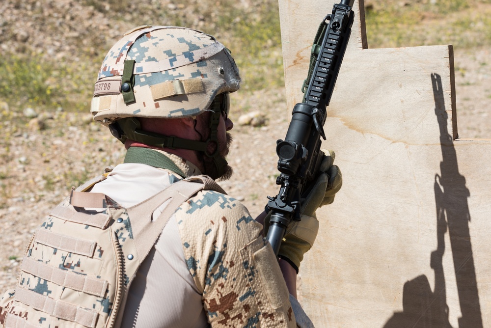 Coalition Forces Conduct Estonian and German-Led Range Operations
