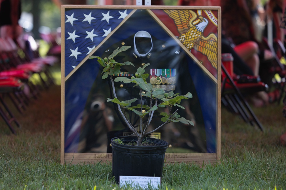 Security Battalion Change of Command