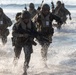 Atlantic Alliance 25 Amphibious Landing Rehearsal