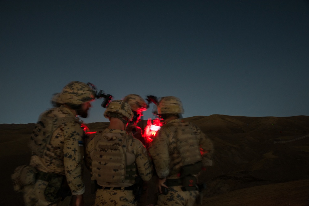 Estonian Defence Forces Conduct Close Air Support Live Fire Exercise