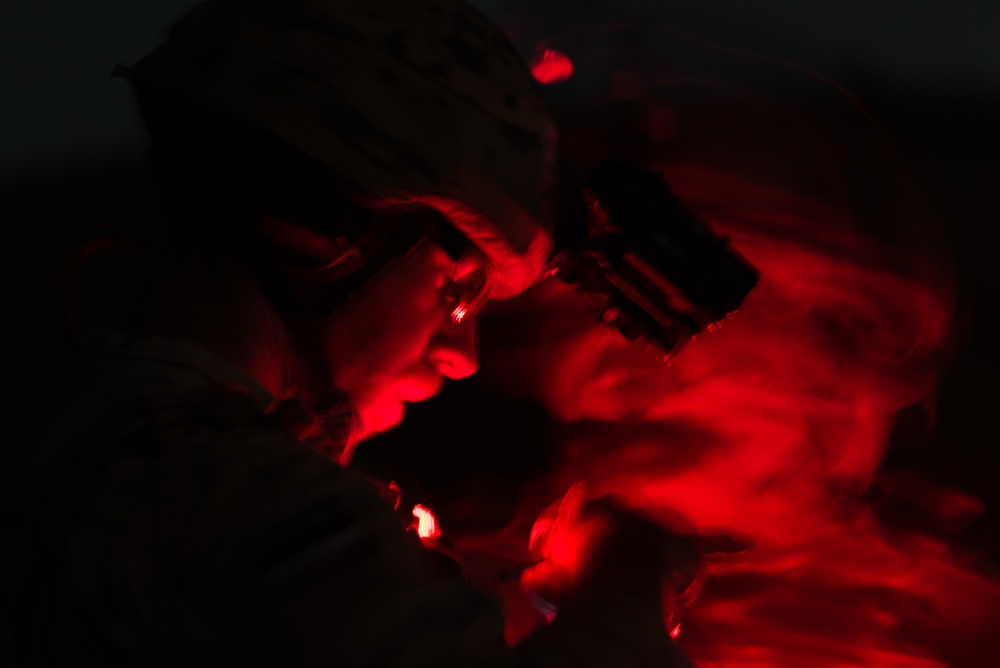 Estonian Defence Forces Conduct Close Air Support Live Fire Exercise