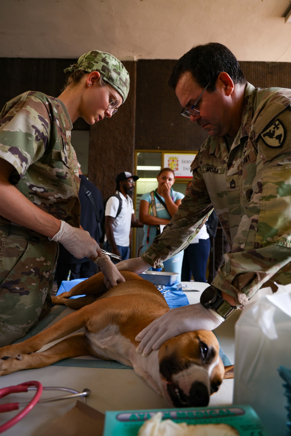 Continuing Promise 2025 Veterinary Clinic