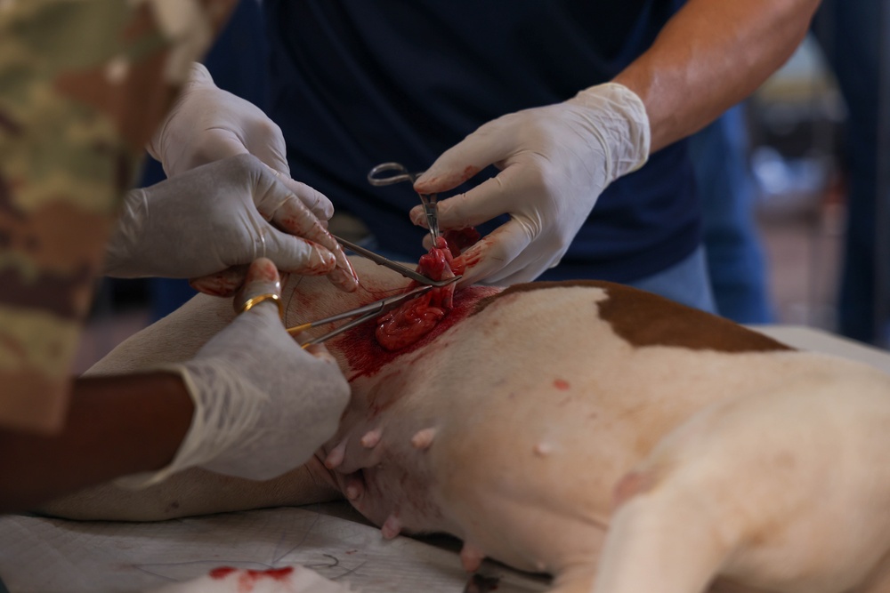 Continuing Promise 2025 Veterinary Clinic