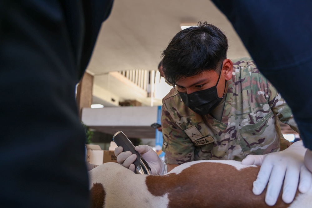 Continuing Promise 2025 Veterinary Clinic