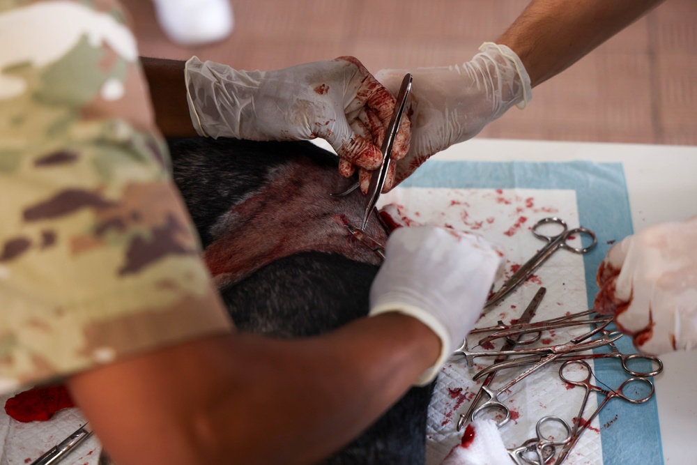 Continuing Promise 2025 Veterinary Clinic