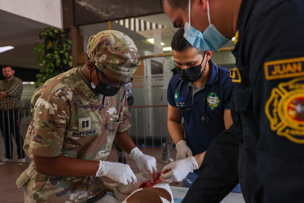 Continuing Promise 2025 Veterinary Clinic