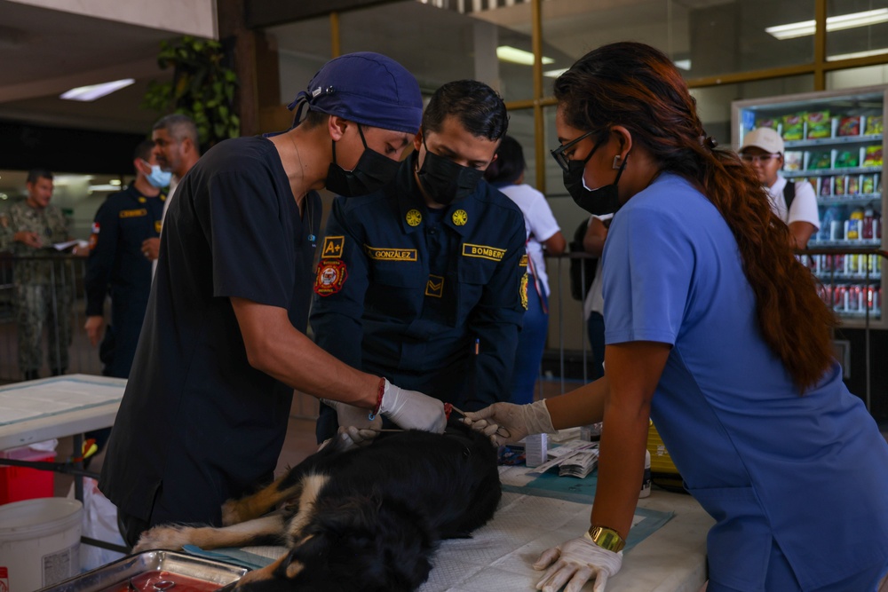 Continuing Promise 2025 Veterinary Clinic