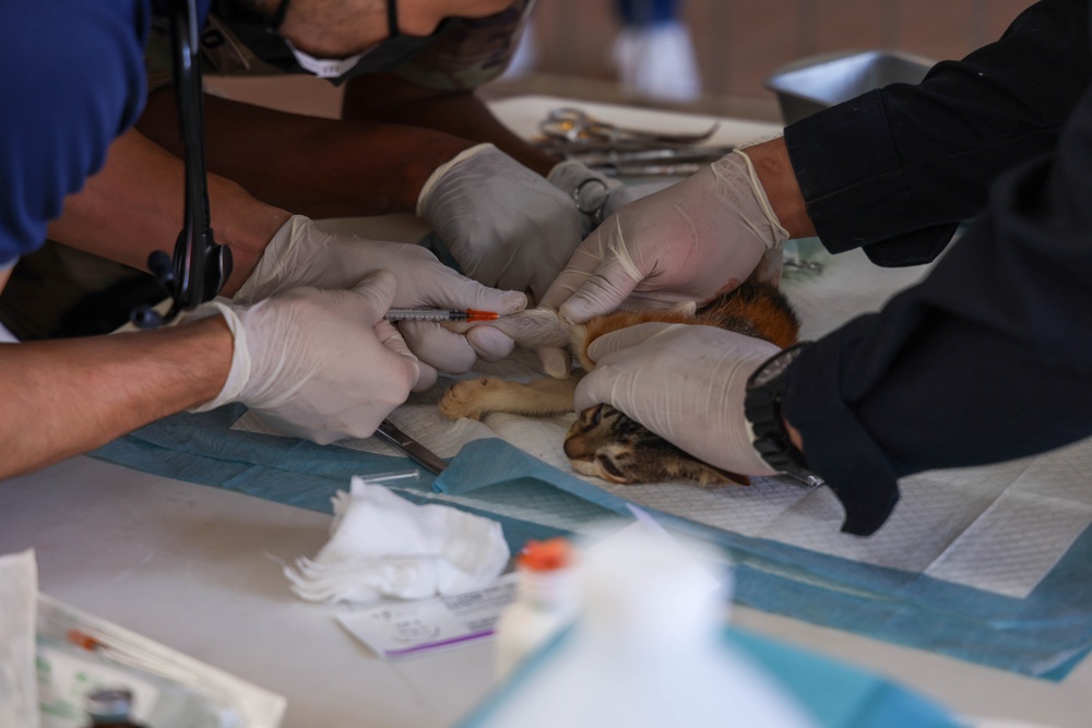 Continuing Promise 2025 Veterinary Clinic