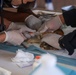 Continuing Promise 2025 Veterinary Clinic