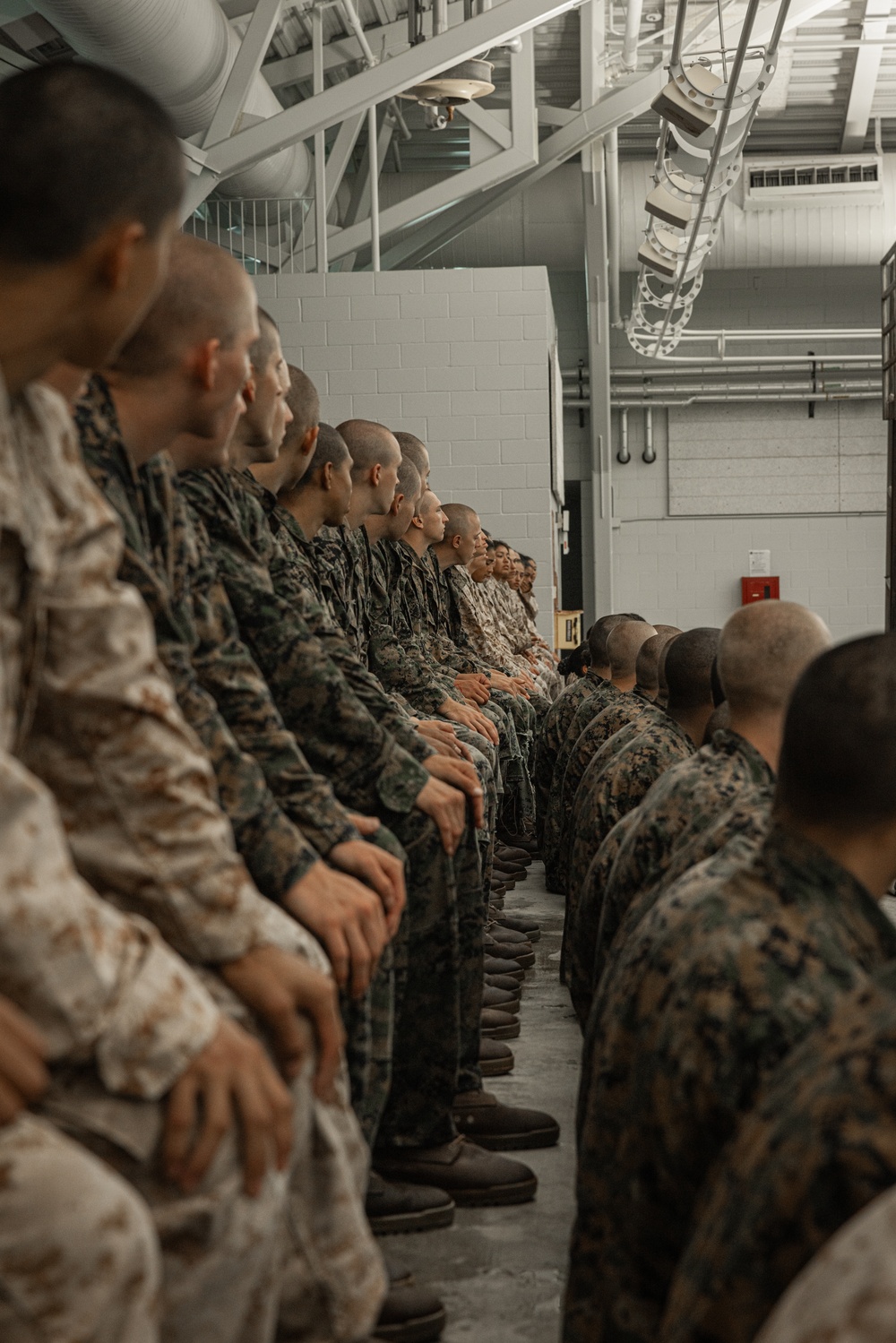 Alpha Company Swim Qualification