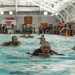 Alpha Company Swim Qualification