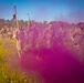 3rd Infantry Division Salute to Summer - Seize the Marne