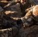 Salute to Summer 2025: Seize the Marne