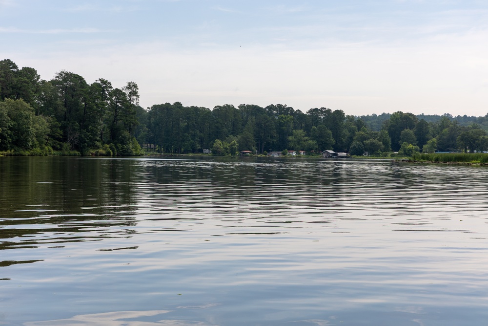 Black Warrior Invasive Species Control – June 2025