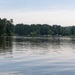 Black Warrior Invasive Species Control – June 2025