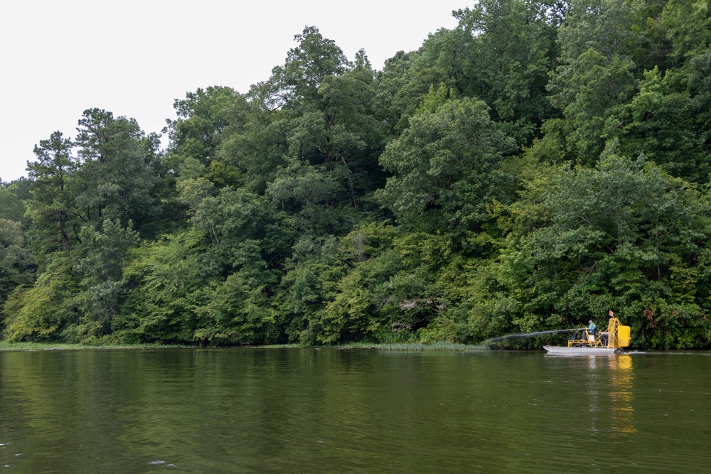 Black Warrior Invasive Species Control – June 2025
