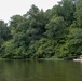 Black Warrior Invasive Species Control – June 2025