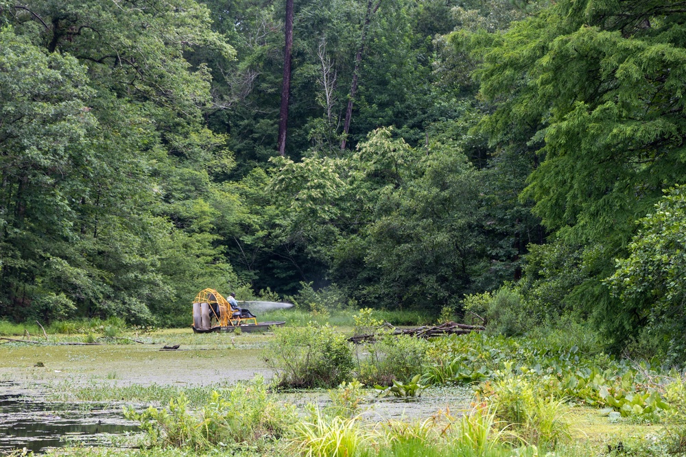 Black Warrior Invasive Species Control – June 2025