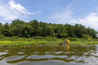 USACE Mobile District Commander’s update: Demopolis Lock