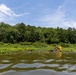 Black Warrior Invasive Species Control – June 2025