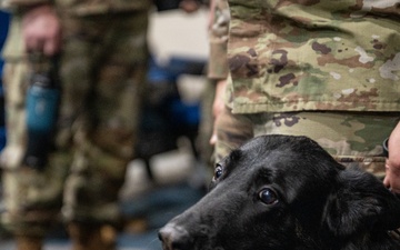 Partner and Protector: MWD Beny’s Retirement