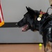 Partner and Protector: MWD Beny’s Retirement