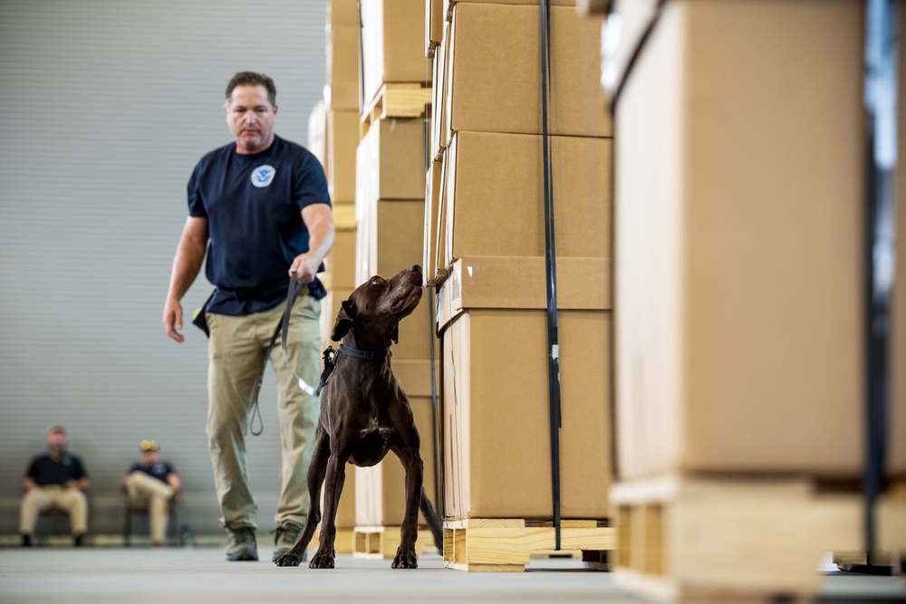 TSA leads study on explosive substance detection at 433AW