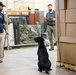 TSA leads study on explosive substance detection at 433AW
