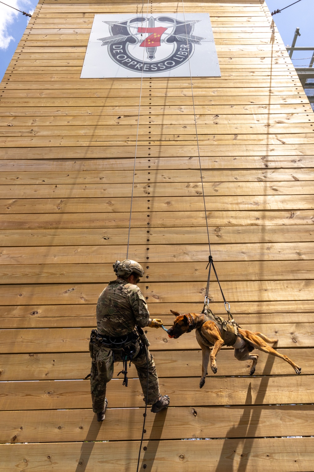 Rappelling with man's best teammate