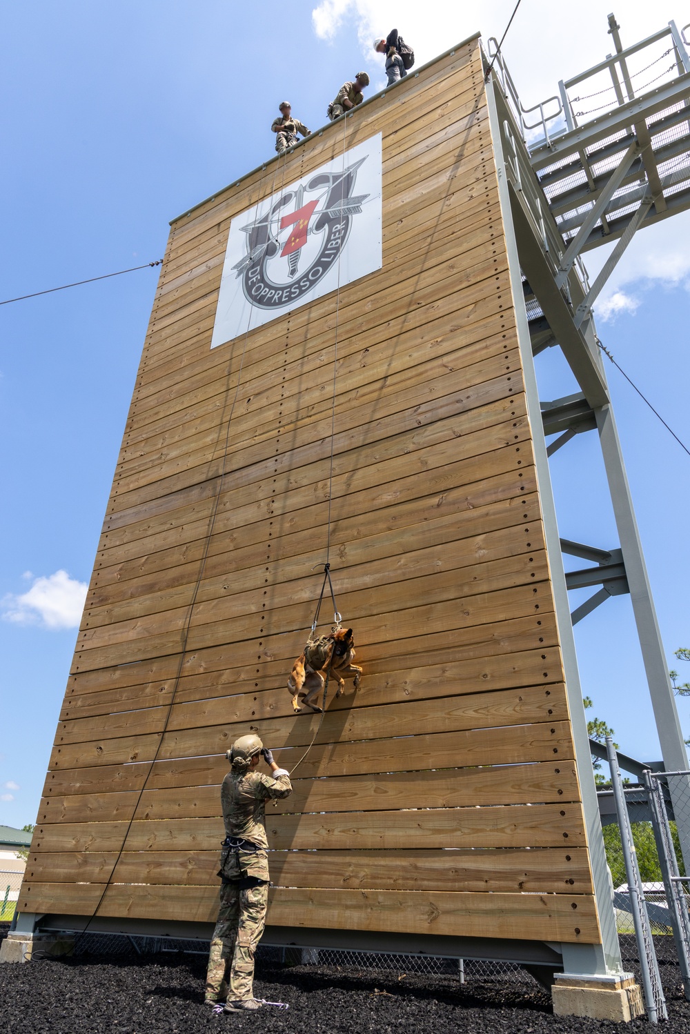 Rappelling with man's best teammate