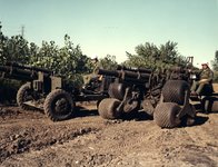 M2A2 Terra Star image 1