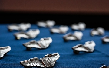Silver wings