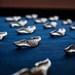 Silver wings