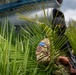 AMISTAD 2025: Gen. Nolan visits with U.S. and Salvadoran service members in El Salvador