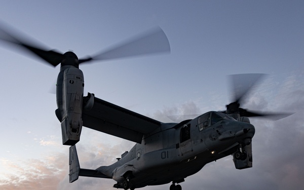 31st MEU | VMM 265 (Rein.) conducts flight operations