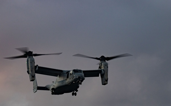 31st MEU | VMM 265 (Rein.) conducts flight operations