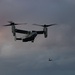 31st MEU | VMM 265 (Rein.) conducts flight operations
