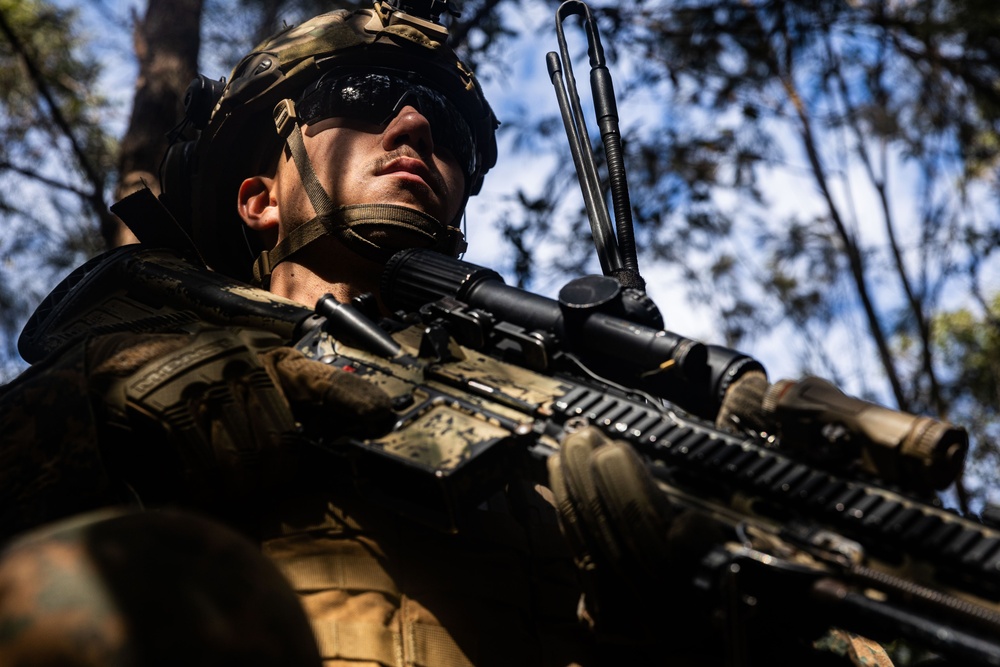 31st MEU |1st LAR conducts TRAP