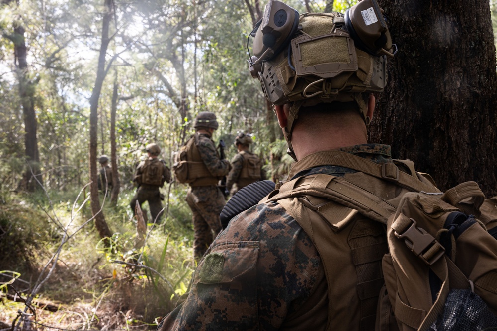 31st MEU |1st LAR conducts TRAP