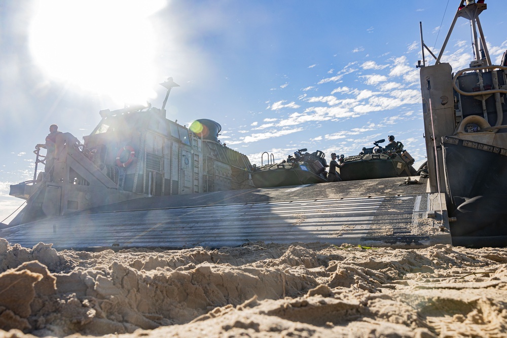 31st MEU |1st LAR conducts TRAP
