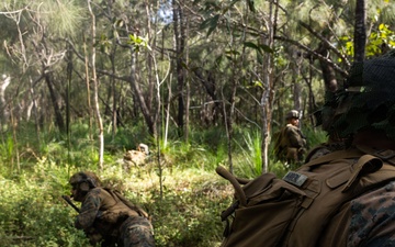 31st MEU |1st LAR conducts TRAP