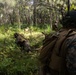31st MEU |1st LAR conducts TRAP