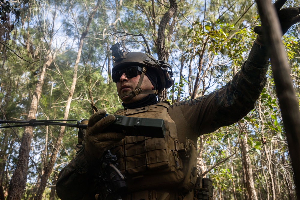31st MEU |1st LAR conducts TRAP