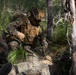 31st MEU |1st LAR conducts TRAP