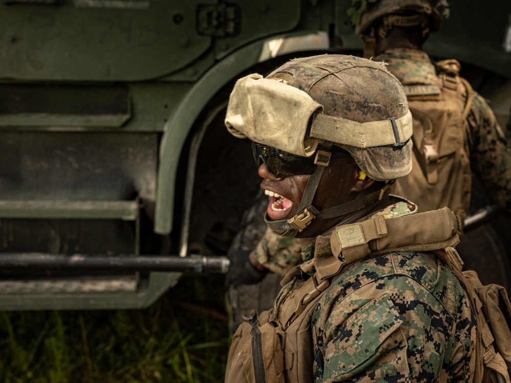 Atlantic Alliance 2025: U.S. Marines with 1st Battalion, 10 Marine Regiment