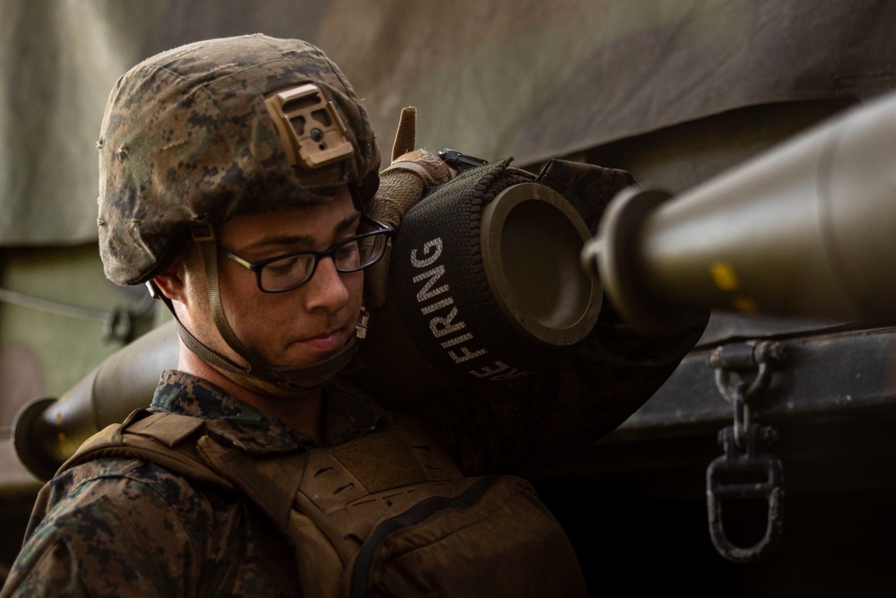 Atlantic Alliance 2025: U.S. Marines with 1st Battalion, 10 Marine Regiment