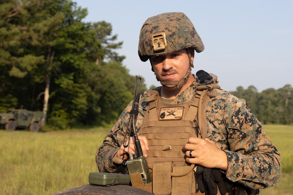 Atlantic Alliance 2025: U.S. Marines with 1st Battalion, 10 Marine Regiment